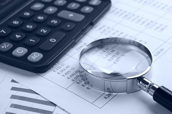 Судебная бухгалтерская экспертиза